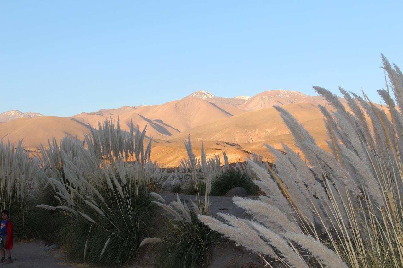 Cabana Nachitor San Pedro de Atacama Exteriör bild
